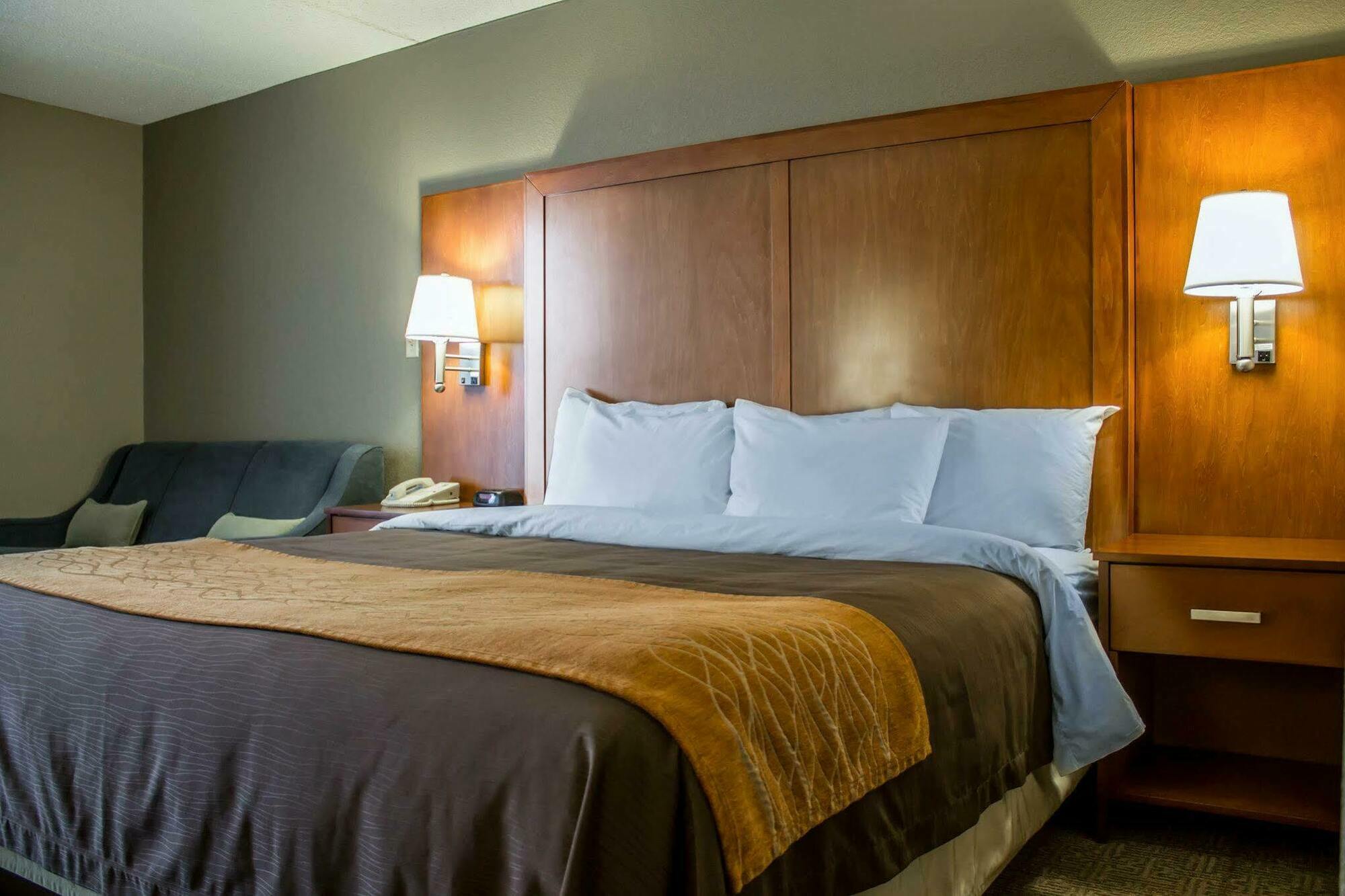 אליאנס Comfort Inn מראה חיצוני תמונה